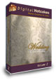 Wedding Video Animations 2